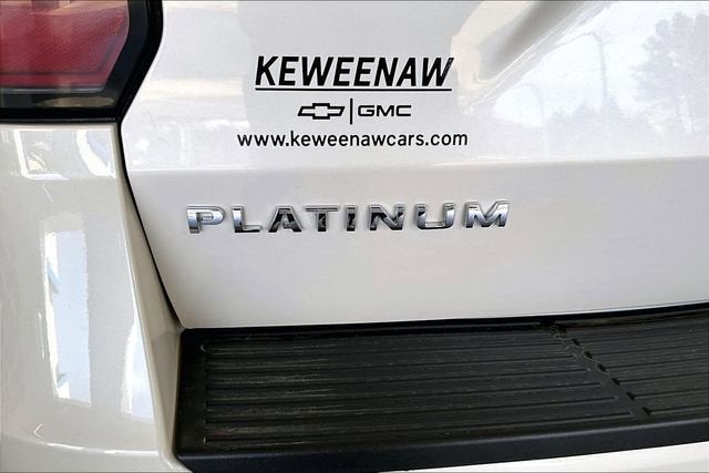 2019 Ford Expedition MAX Platinum