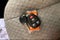 2025 Chevrolet Express Passenger 1LT